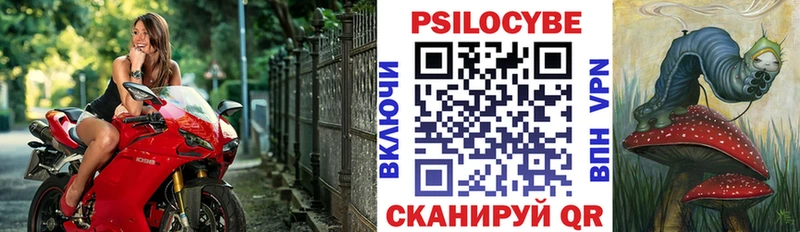 Галлюциногенные грибы ЛСД  kraken ссылки  Барыш 